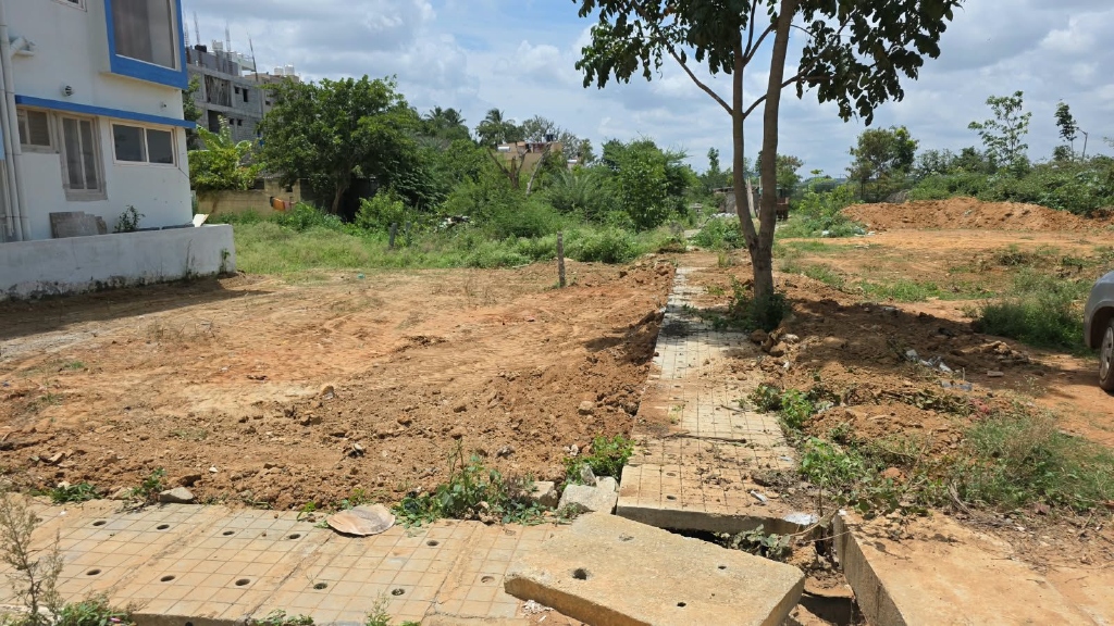 Vacant plot cleared, graded and verified