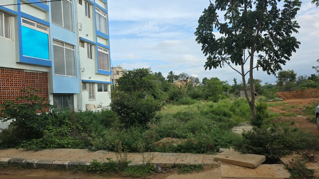 Overgrown vacant plot before clearing